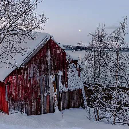 Eira Glamping - Romantic, Ocean View, Fire Pit 5*