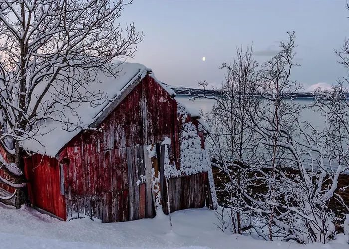 Eira Glamping - Romantic, Ocean View, Fire Pit 5*